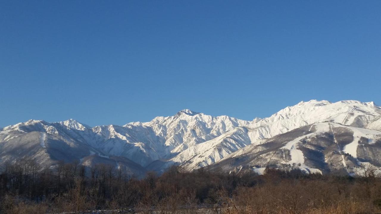 Little Alaskan Guest House Hakuba Exterior foto
